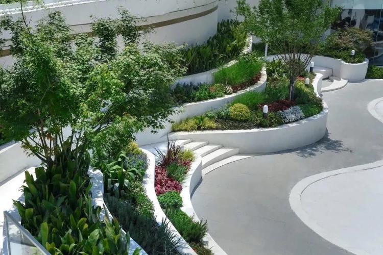 泰安民宿樓頂花園綠化設(shè)計